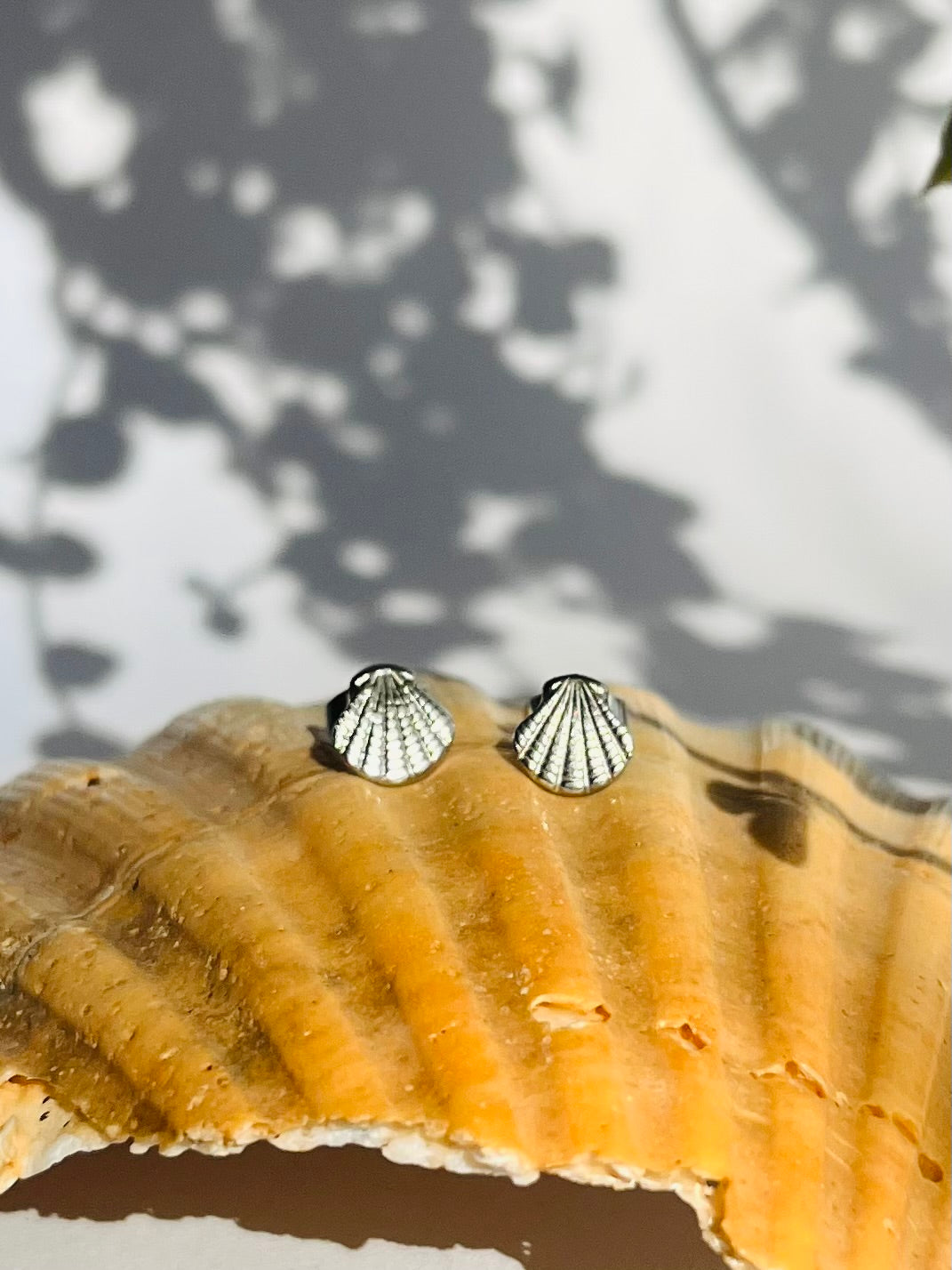 Ohrring Edelstahl silver "SHELL"